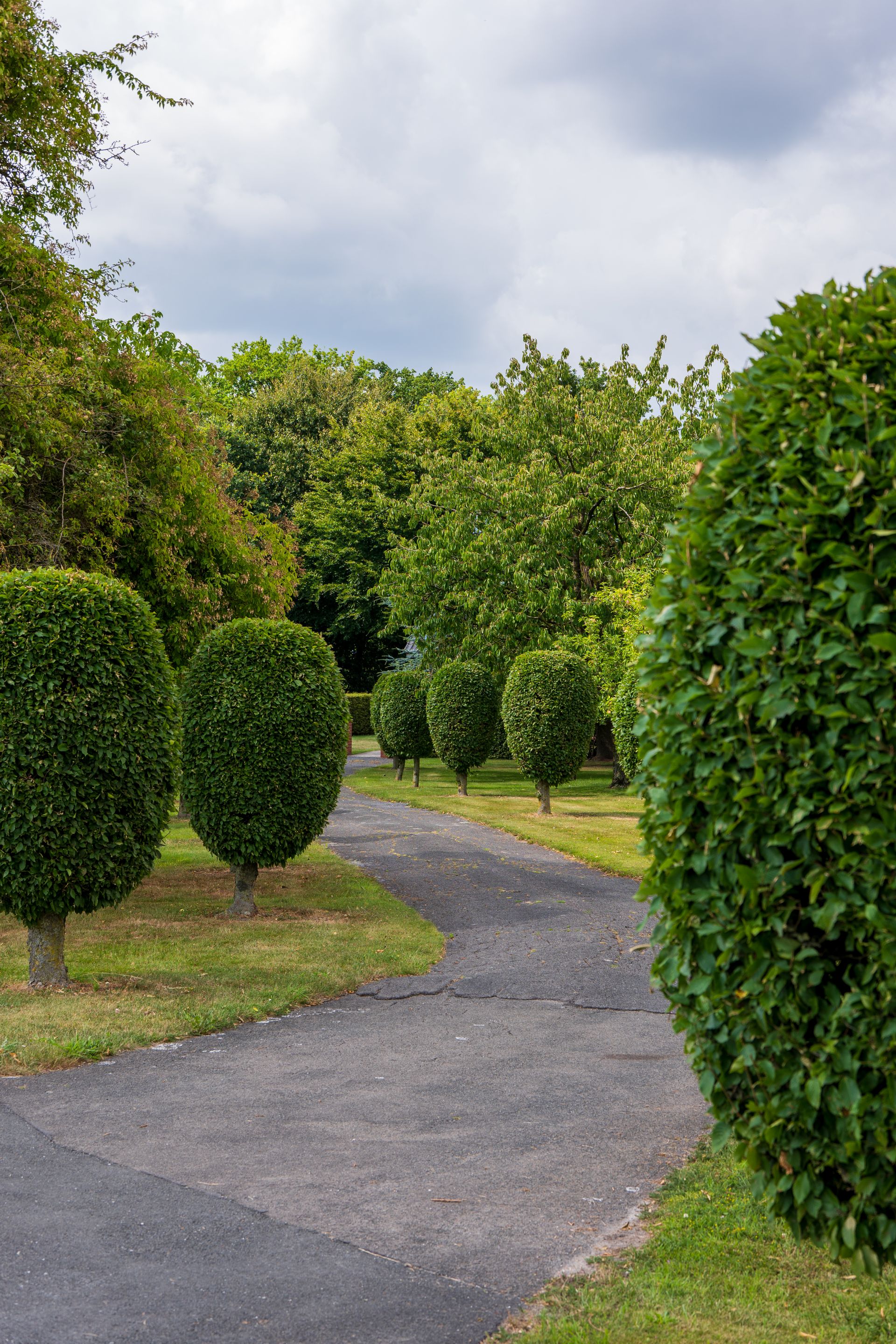 Allée dans un jardin arboré, entretenu et sobre