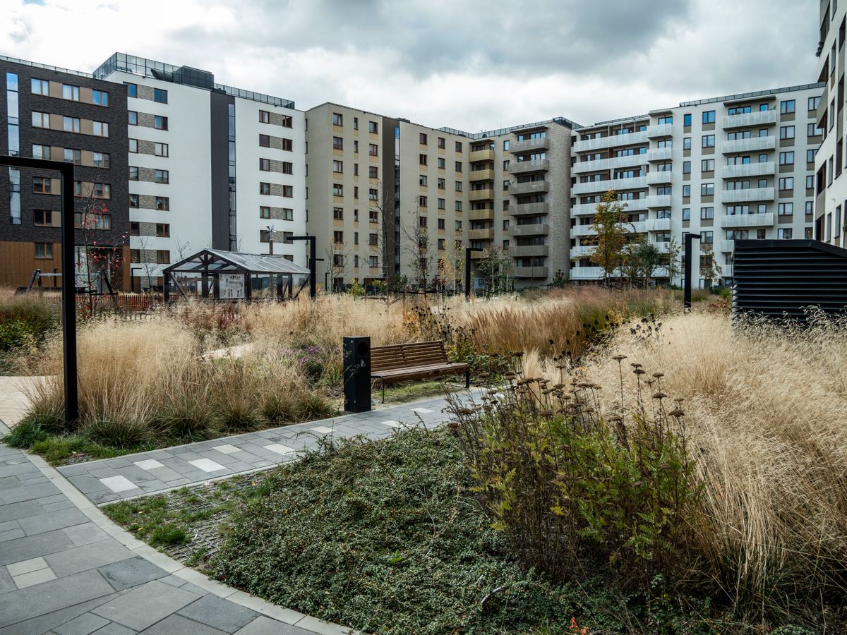 Cour d'immeuble avec pelouse et espaces verts entretenus
